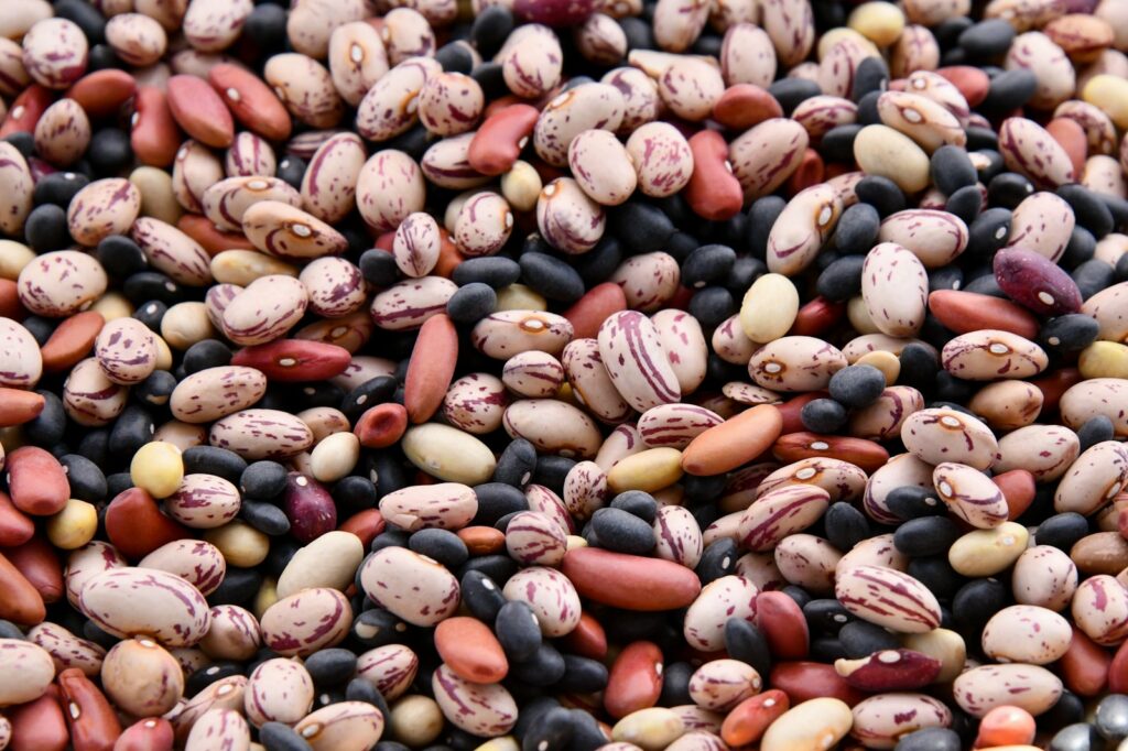 Colorful assortment of beans and legumes, high-fiber foods that support gut health